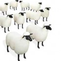 31.12.2011 – 01.01.2012<br/> Meno tasse per chi investe in cultura (sgravi fiscali al 19%)